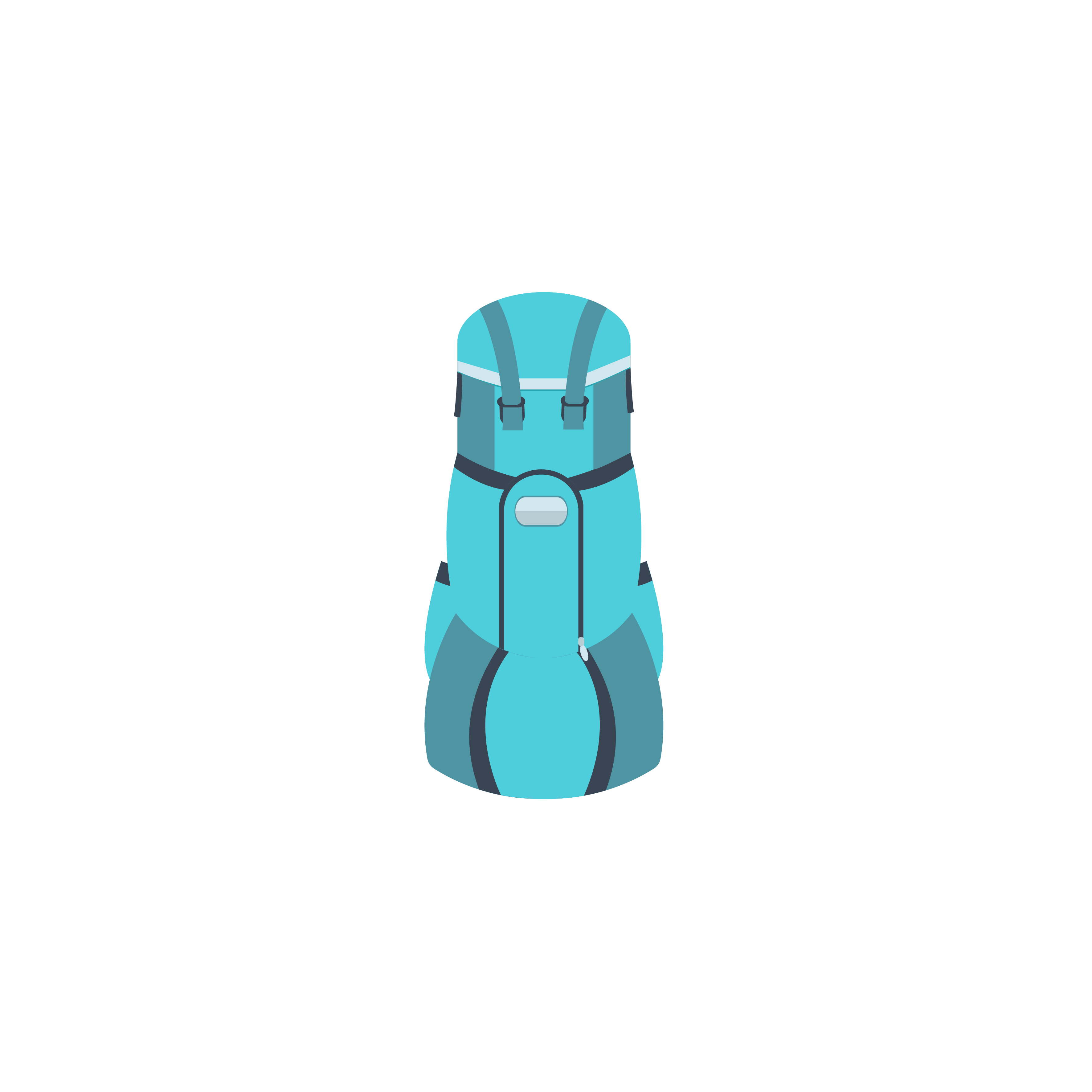backpacking travel bag suitcase backpack