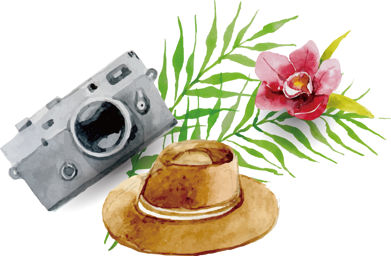 camera poster hat camera travel poster flowers background material