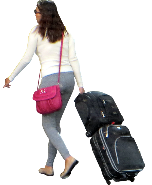 baggage suitcase hand luggage travel suitcase