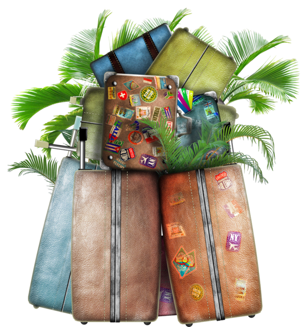 baggage travel suitcase hotel travel