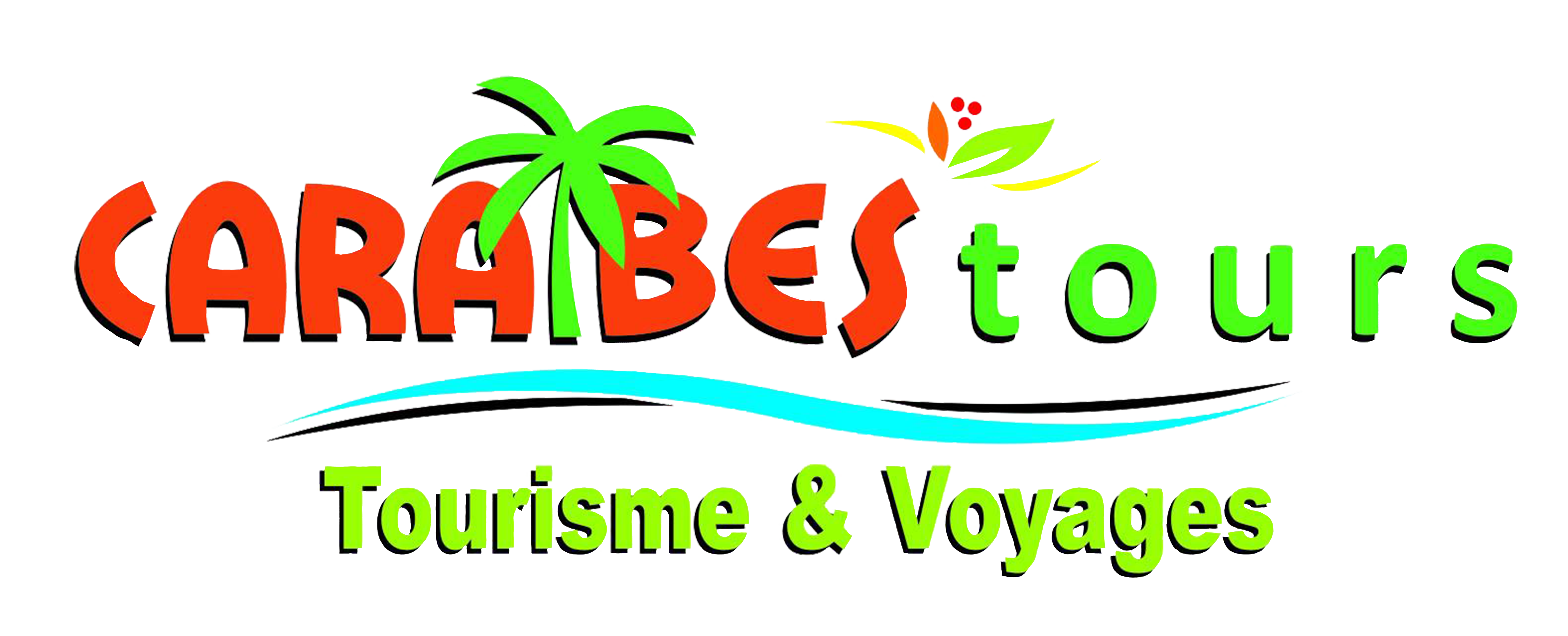 Caribes Tours Logo with Palm Tree and Wave