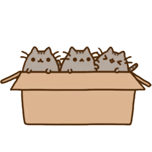 Three Grey Tabby Kittens in Cardboard Box