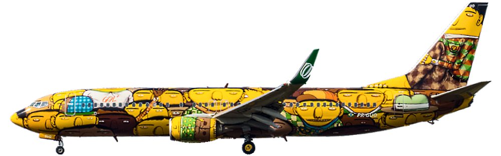 boeing 737 wide body aircraft air travel aerospace engineering flight cap