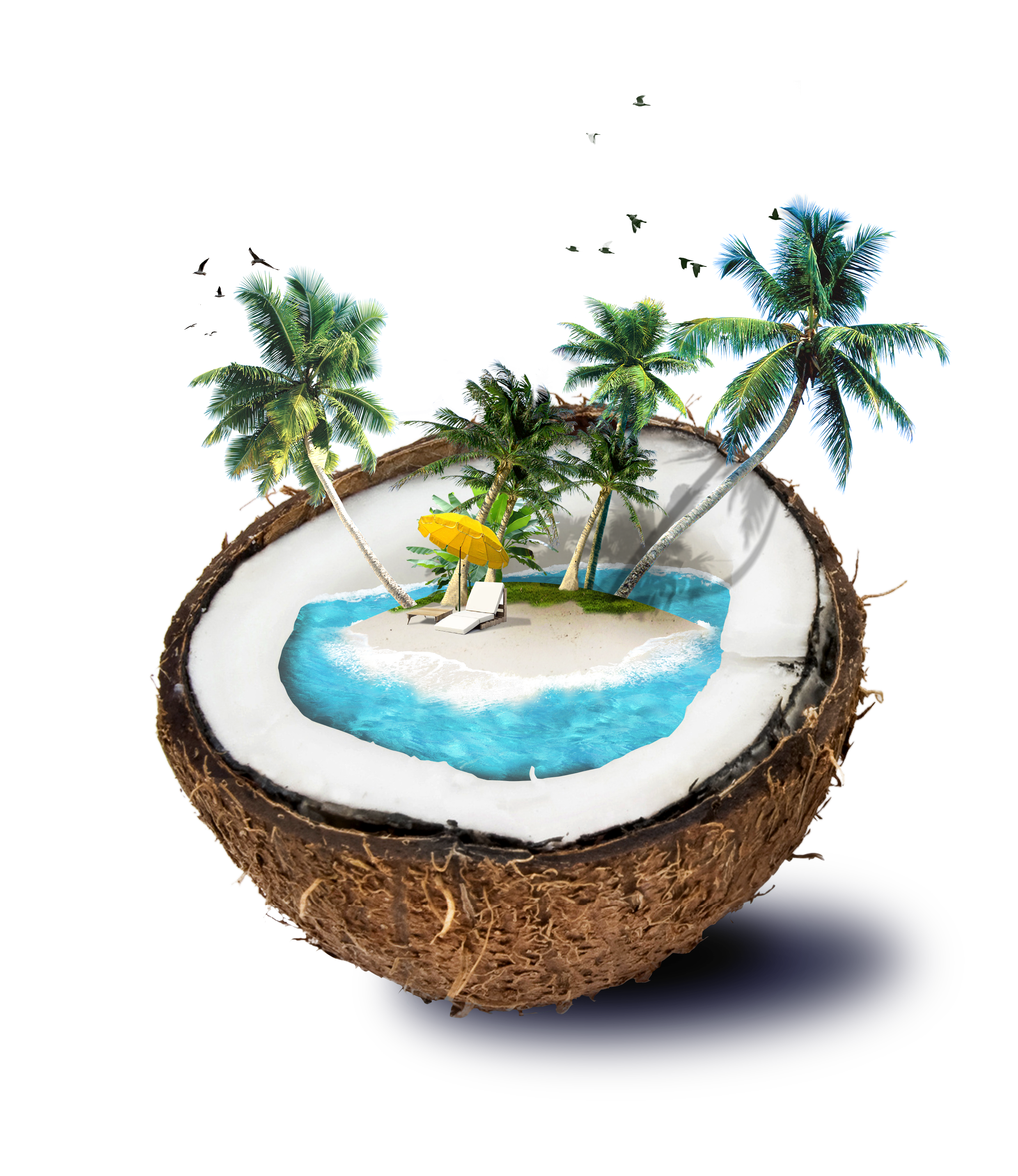 coconut water travel shading borders shading template download shading material download