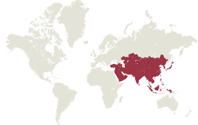 dallas fuel overwatch league world map travel asia