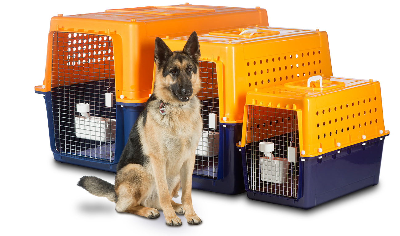 dog crate pet travel transport travel abroad