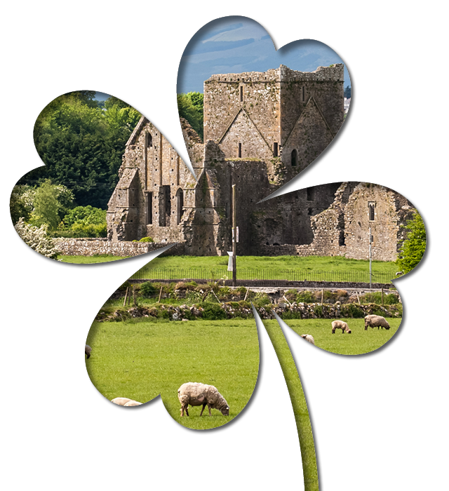 Shamrock Frame with Abbey Ruins and Sheep