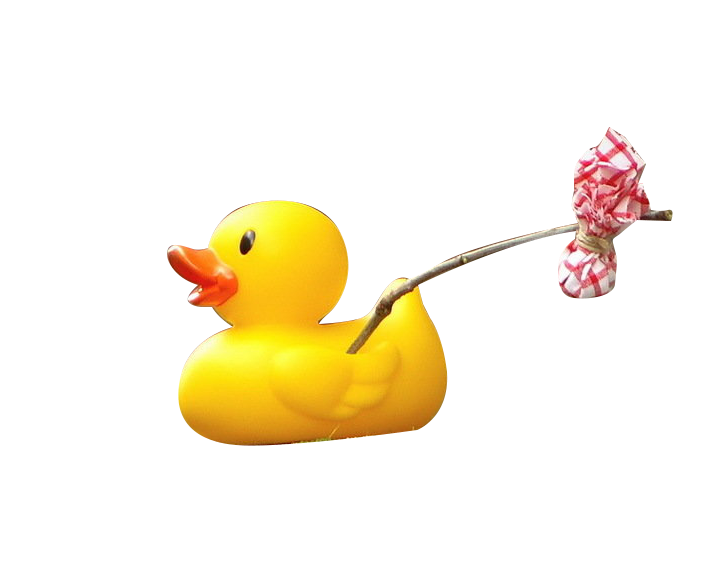 duck travel designer creativity duck travel