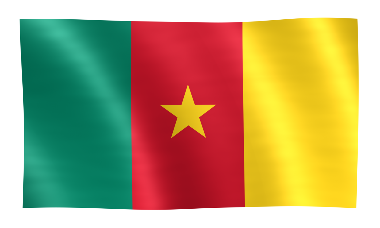 flag of cameroon photography seaside travel