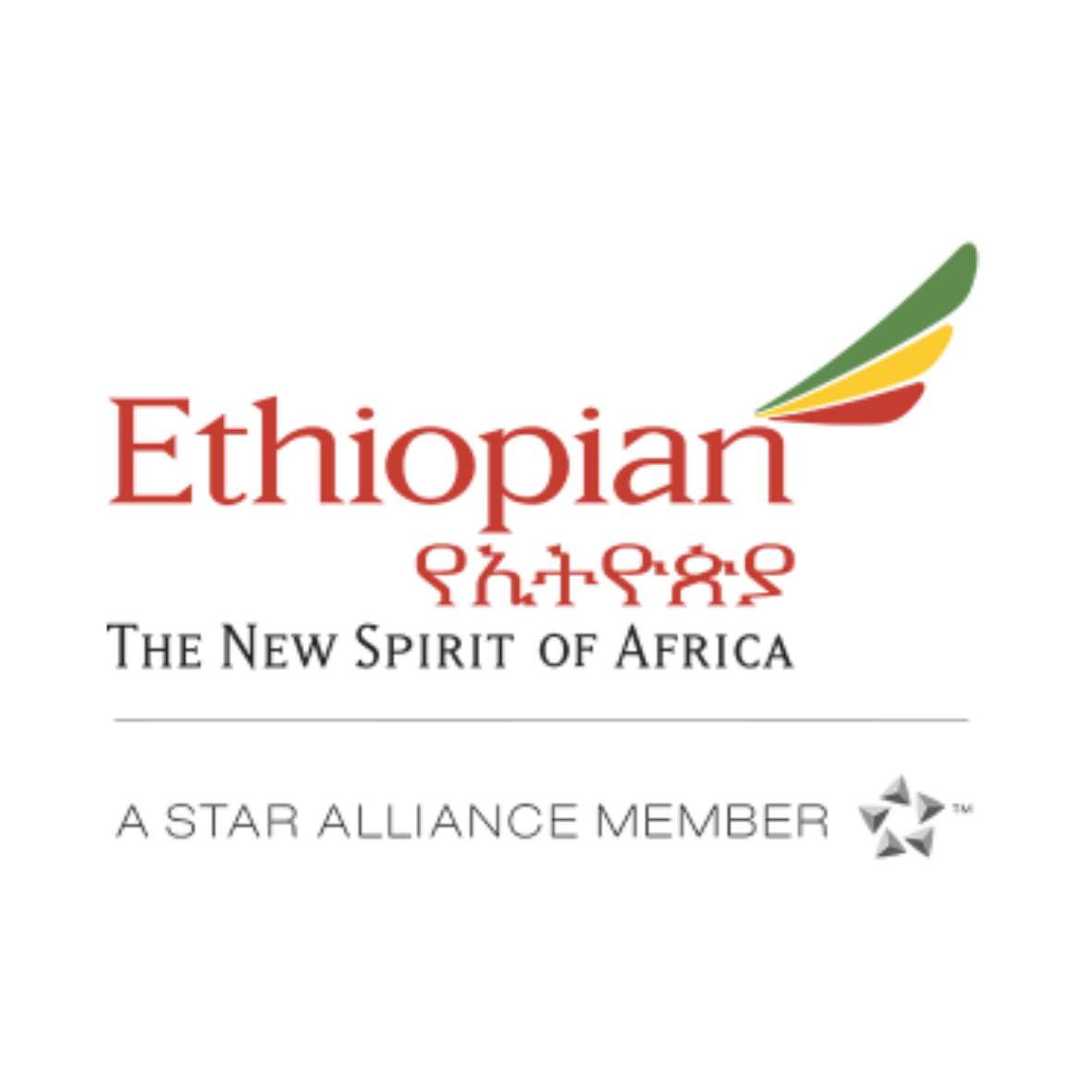 ethiopian airlines flight addis ababa air travel boeing 737 max travel