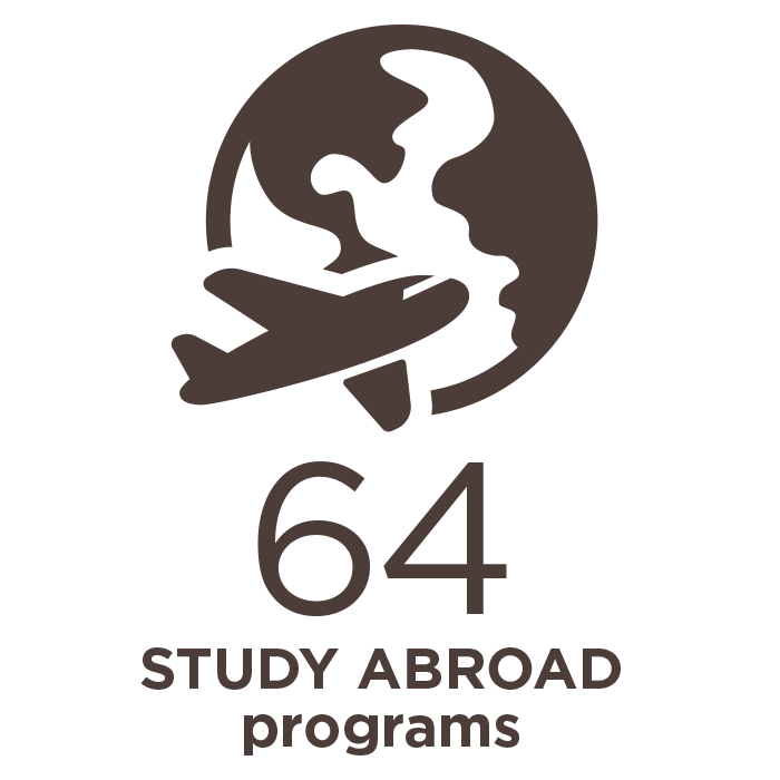 Dark Brown Globe Icon with Airplane