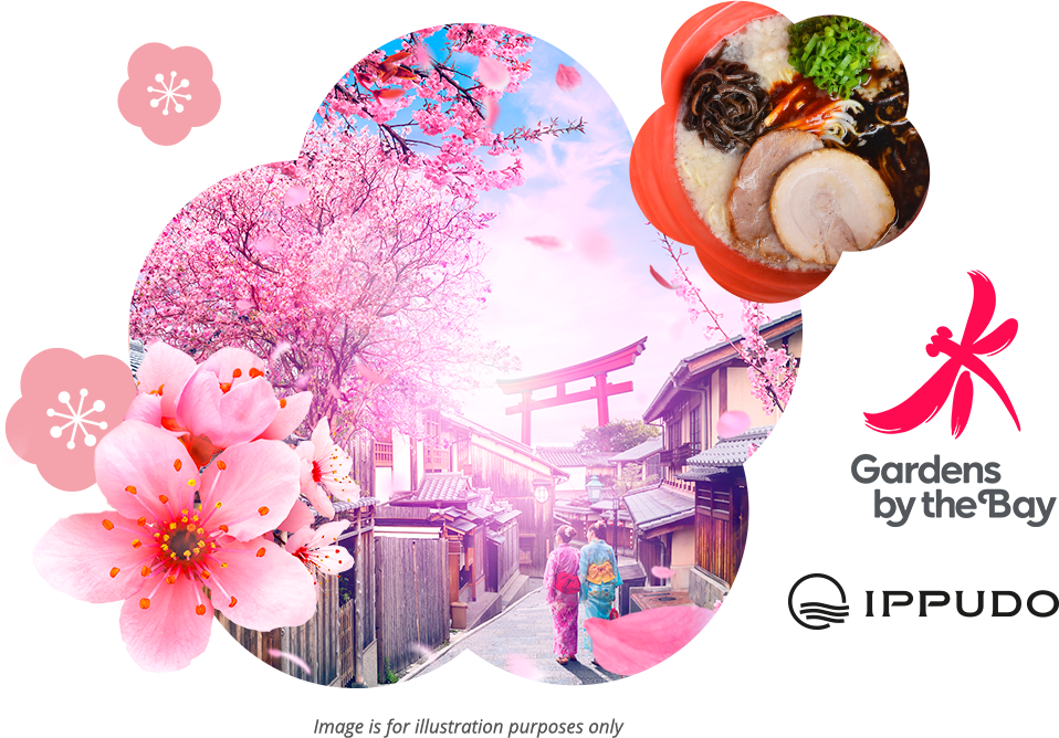 gardens by the bay japan travel itinerary hanami experience japan