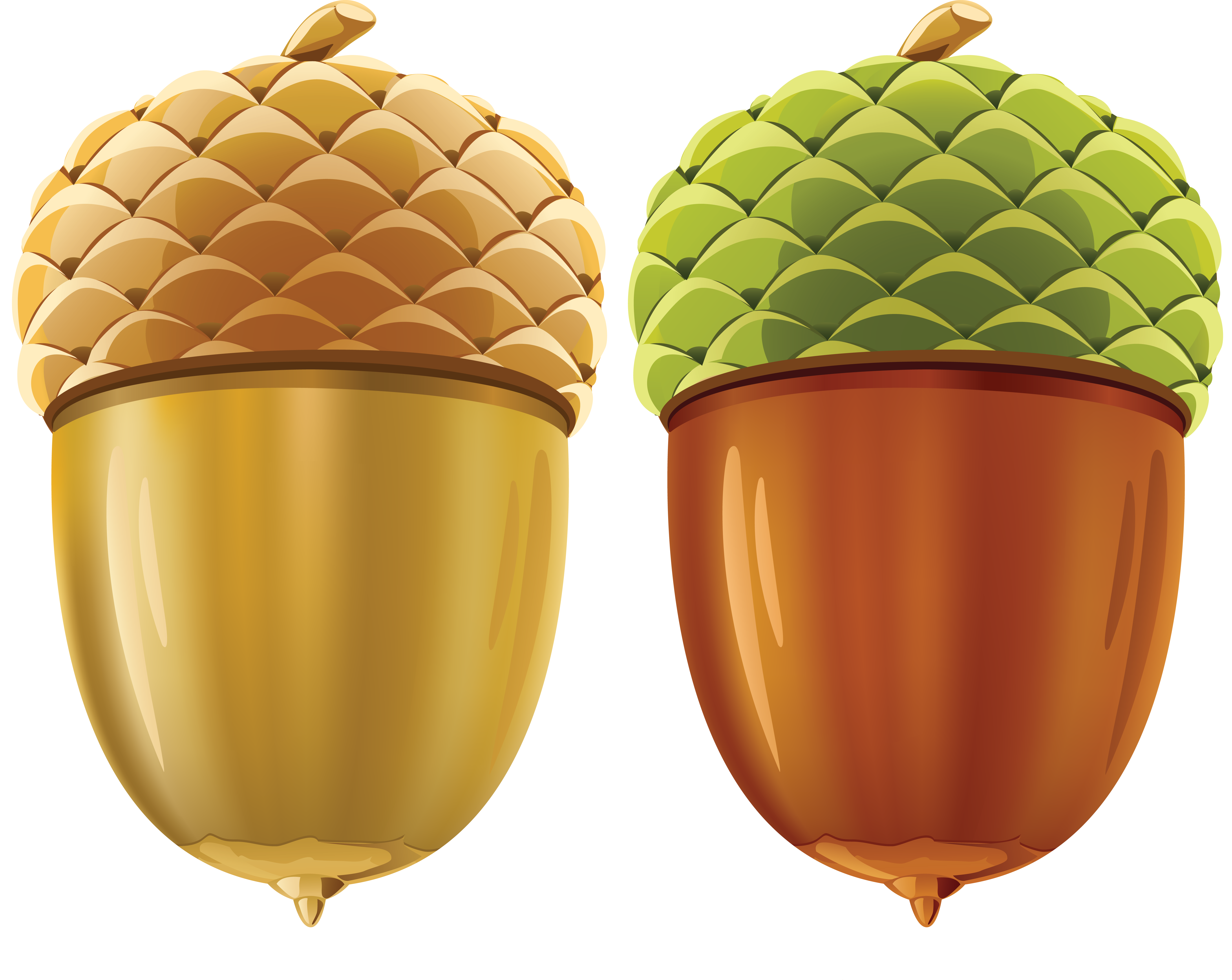 golden acorn casino travel center the golden acorn jd wetherspoon hotel acorn png image