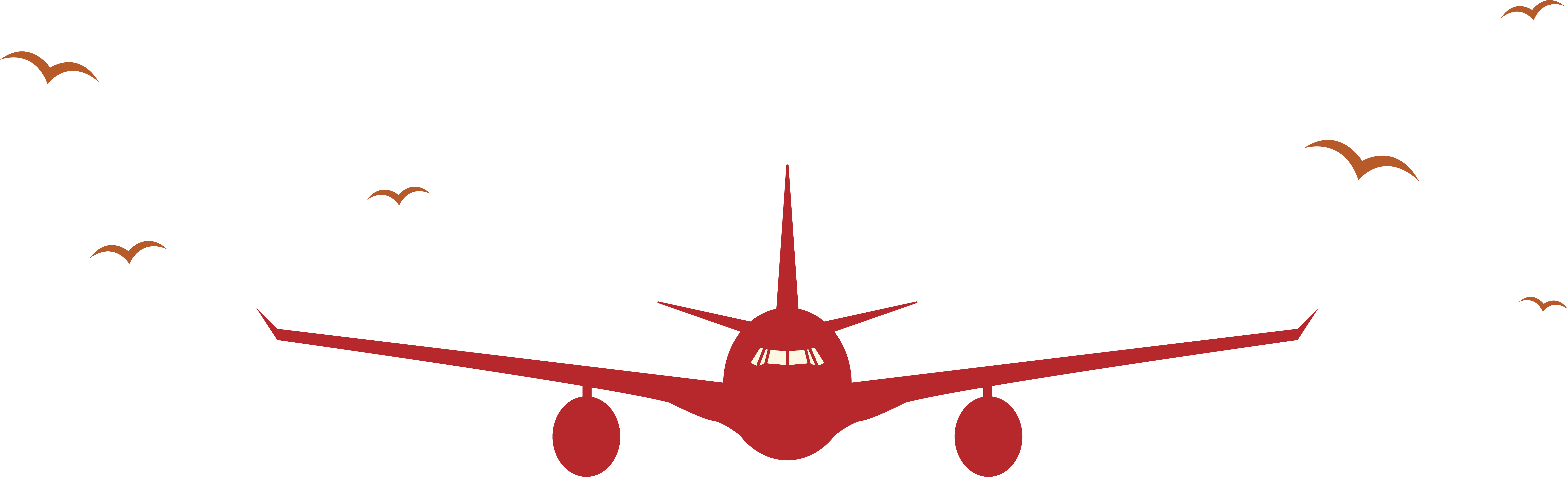 graphic design brand illustration red aircraft travel poster