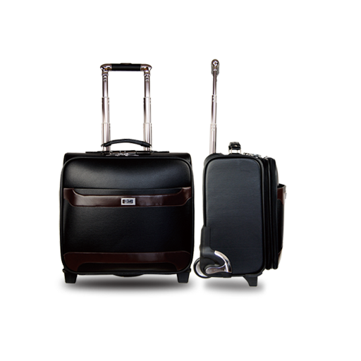 hand luggage baggage travel travel bags