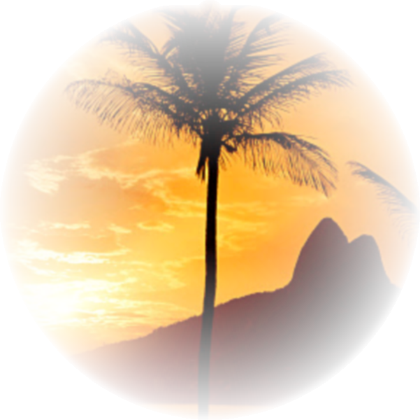 hotel holiday travel luxury arecaceae tube fundos paisagens
