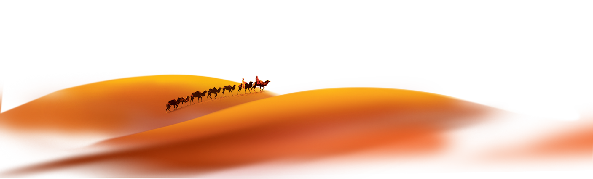 insect close up wallpaper travel in eleven