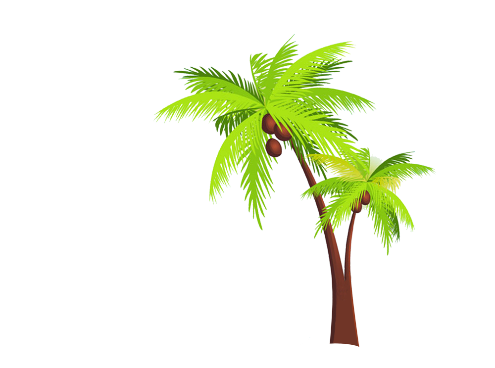 Cartoon Coconut Palm Tree with Lime Fronds
