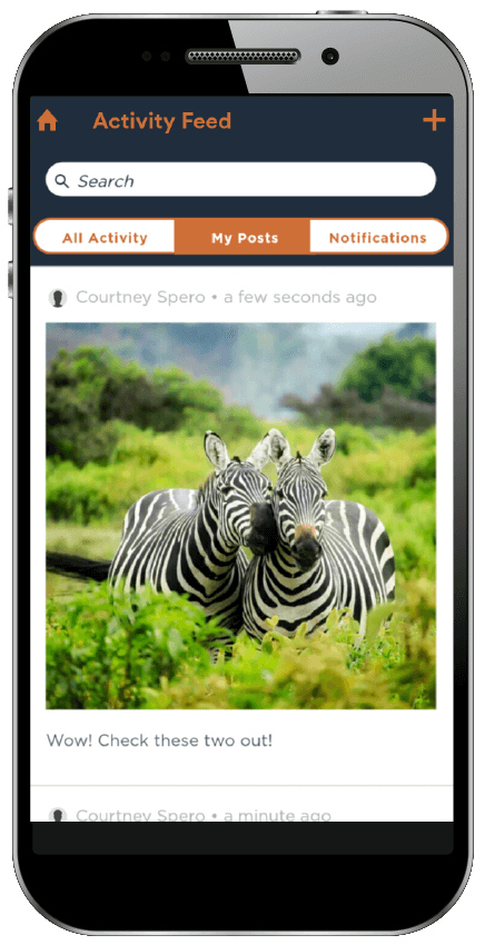 kruger national park kenya desktop wallpaper safari travel creative travel