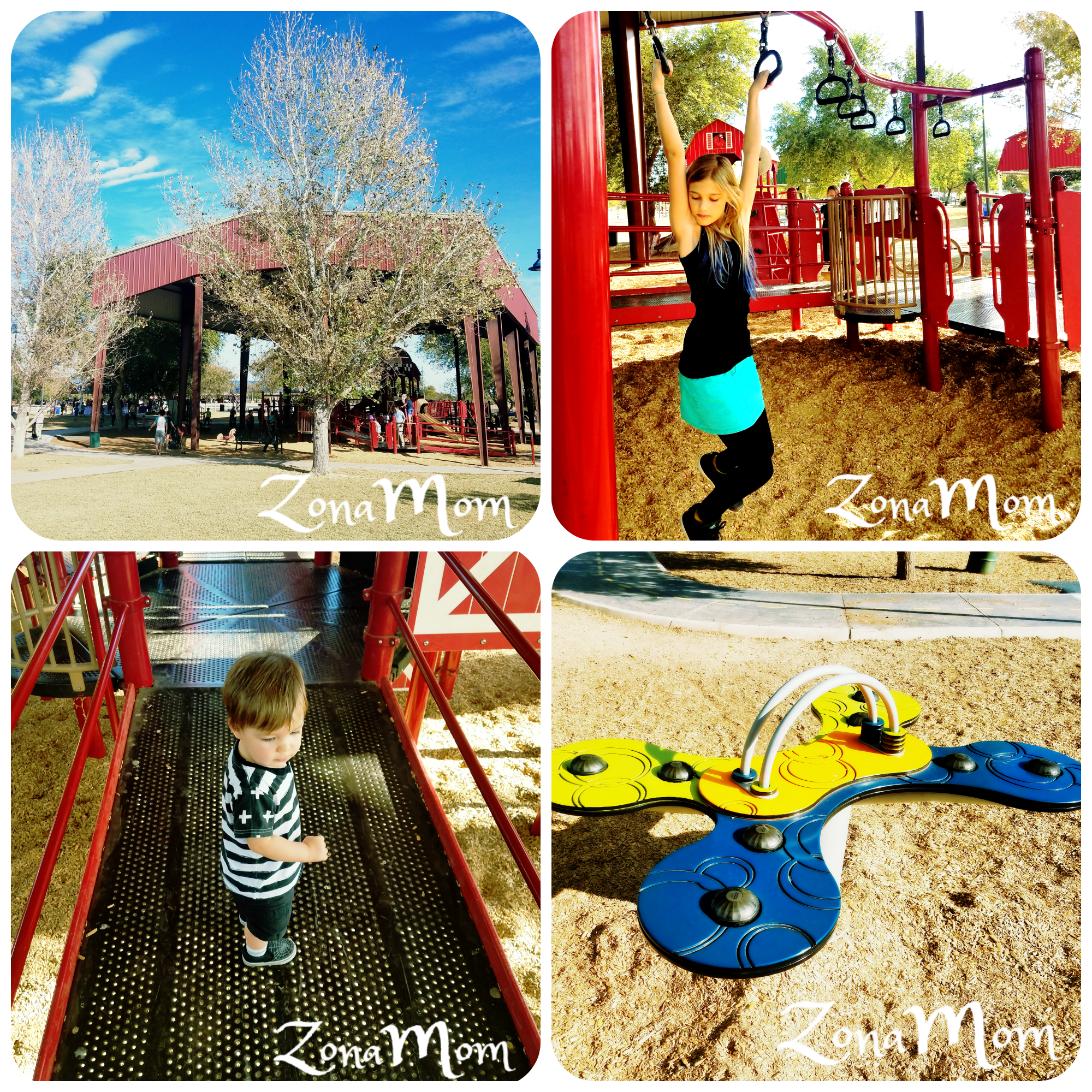 Red Playground Set with Monkey Bars