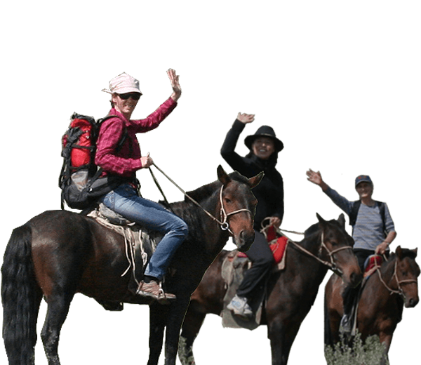 mongolia horse travel equestrian mongols mongolian grassland