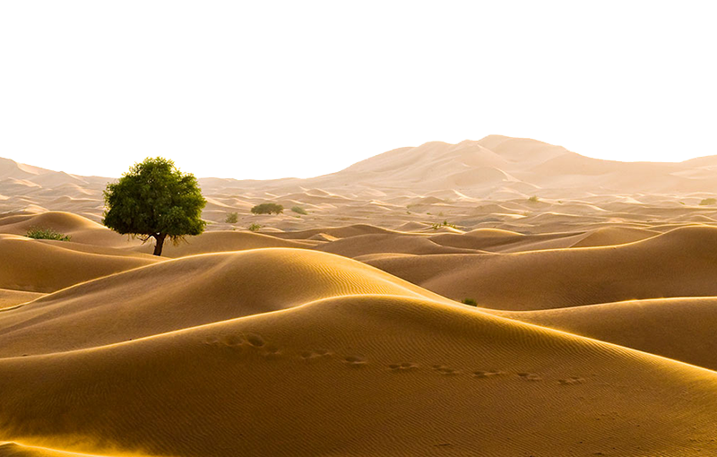 oman sahara bahrain desert travel land desertification - Free Png Download | Seekpik