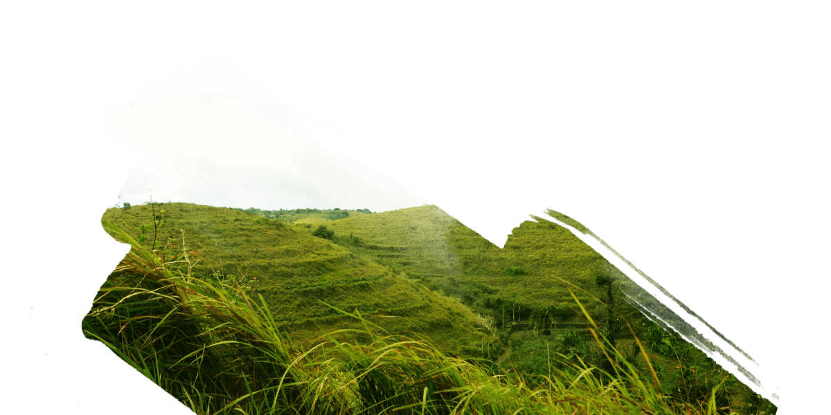 paket tour nusa penida nusa penida trip travel vegetation nusa penida