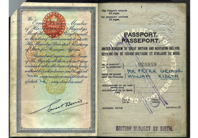 passport diplomat travel document ambassador diplomacy passport