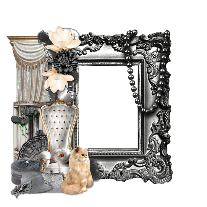 picture frames electronic system for travel authorization others