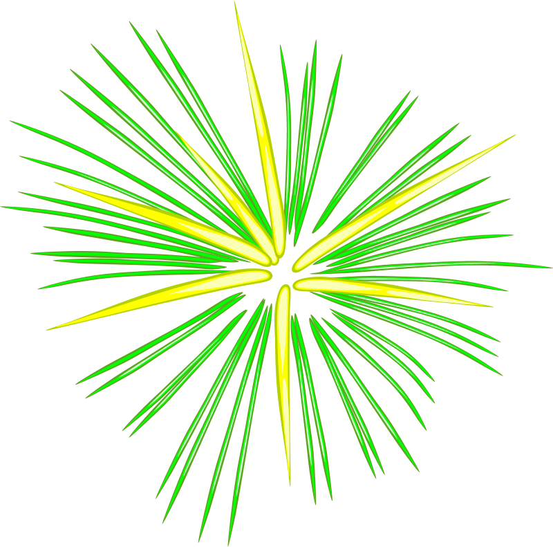 Green and Yellow Fireworks Burst