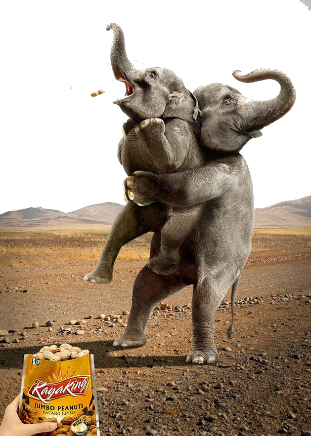 advertising animal advertisements humour printing marketing elephants hold small elephant