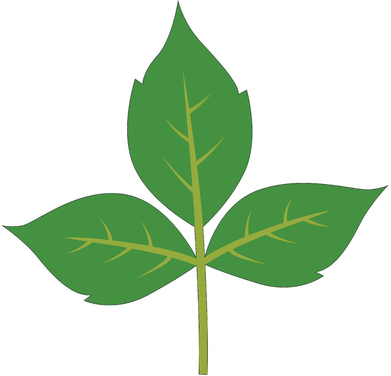 Aloe Vera Leaf Lotion Kudzu Plant Stem Plants Skin Affiliate Marketing Sorting Algorithm transparent bac