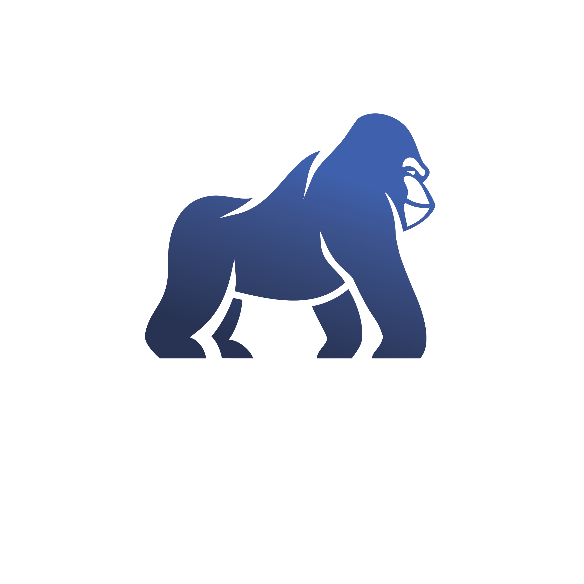 blue gorilla digital advertising agency digital marketing online advertising gorilla