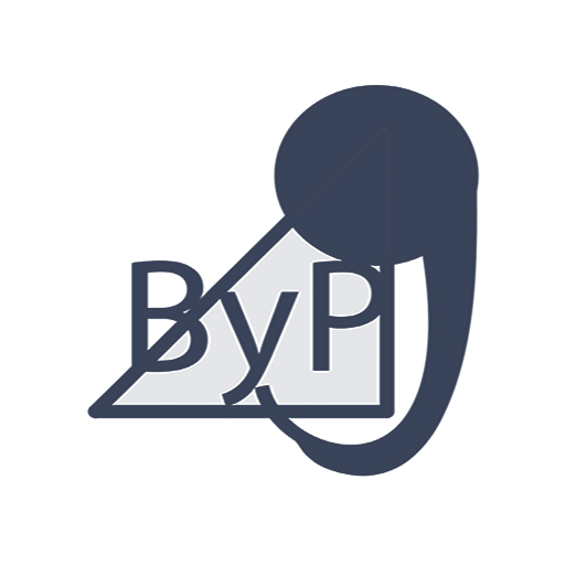 Dark Slate BYP Logo with Curved Swoosh