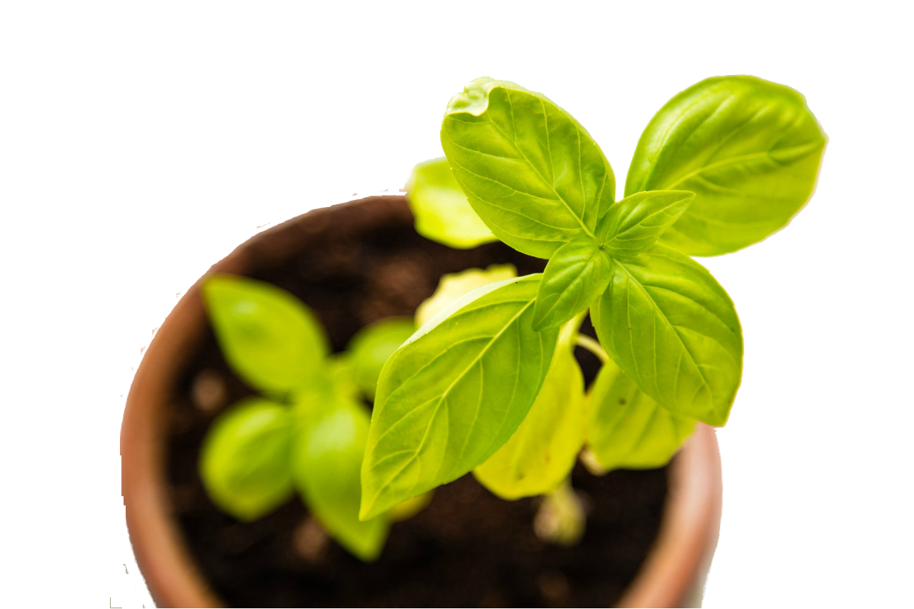 business marketing horticulture gardening herb business