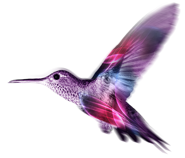 Cartoon Bird Hummingbird Cae Technology Services Limited Information Technology Marketing Revenue Reseller Sales transparent bac