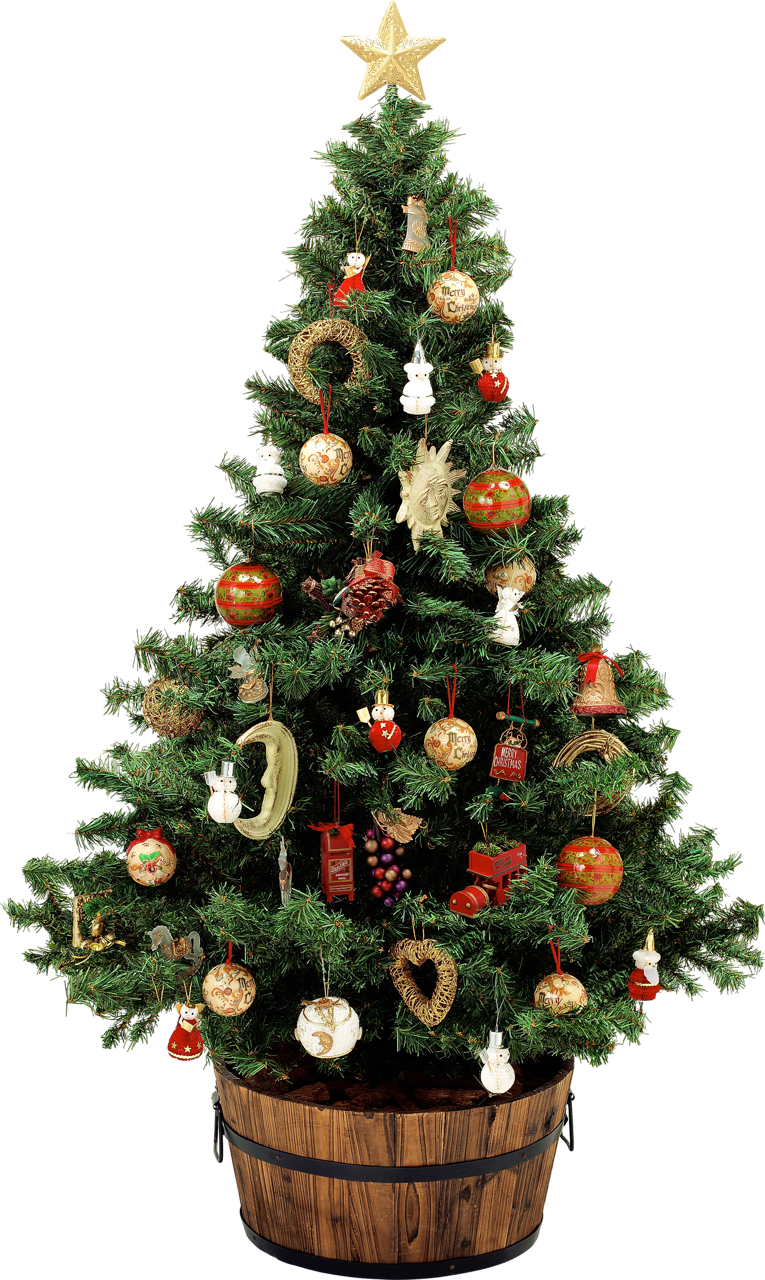 Christmas Tree Animation Christmas Day Santa Claus Christmas Market Christmas Ornament Christmas Decoration Colorado Spruce Oregon Pine transparent bac