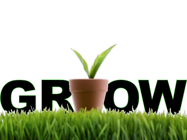company sales electronic business small business marketing grow food