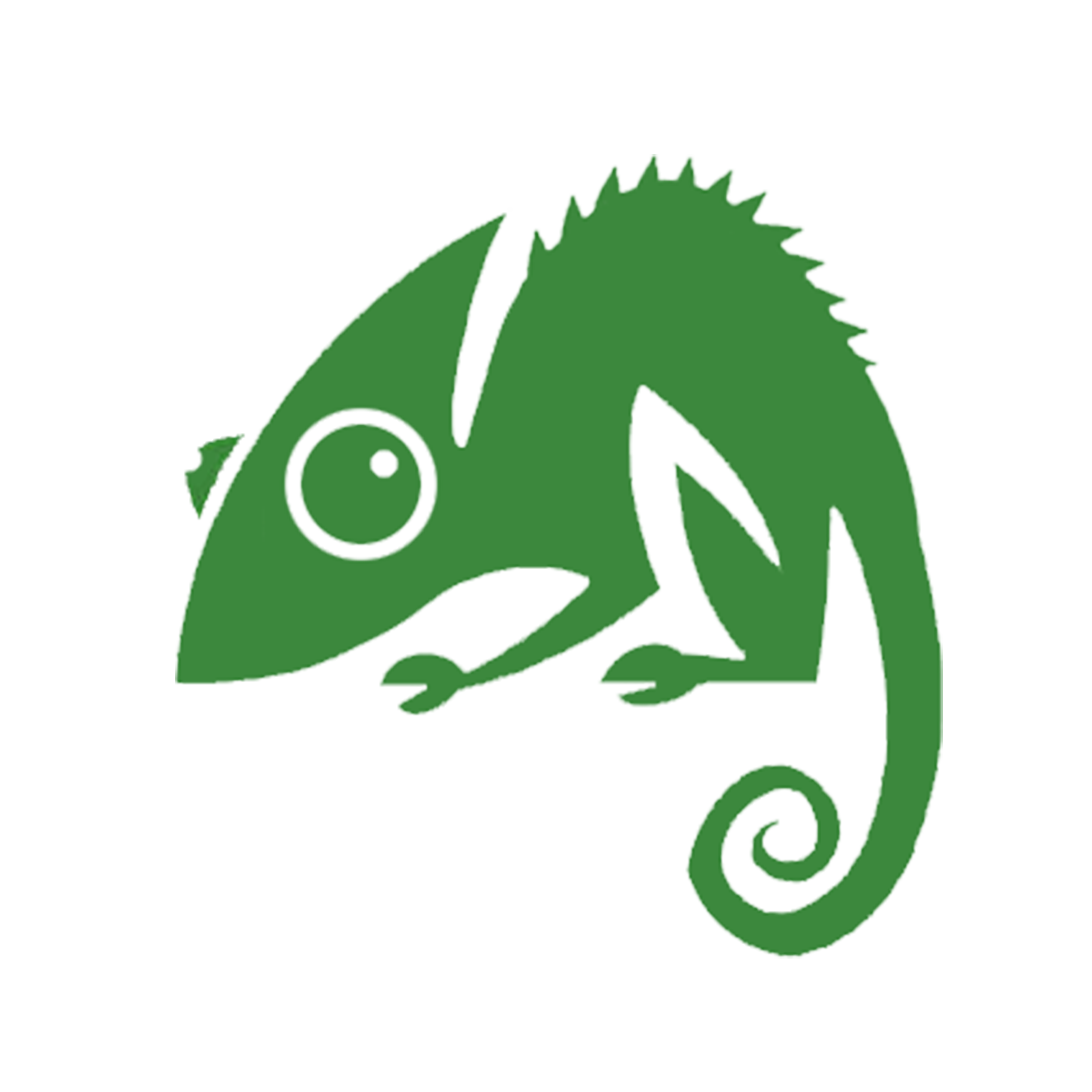 Digital Marketing Chameleon Web Services Web Design Birmingham Search Engine Optimization Internet Business Web Search Engine transparent bac