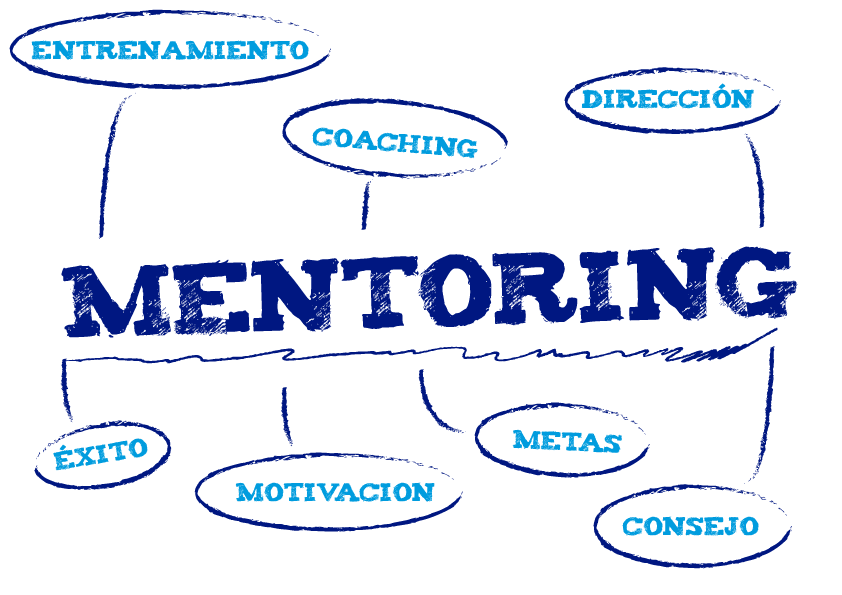 digital marketing organization mentorship empresa mentorship