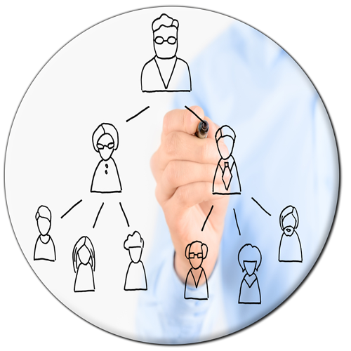 Hand-Drawn Team Hierarchy Chart with Marker