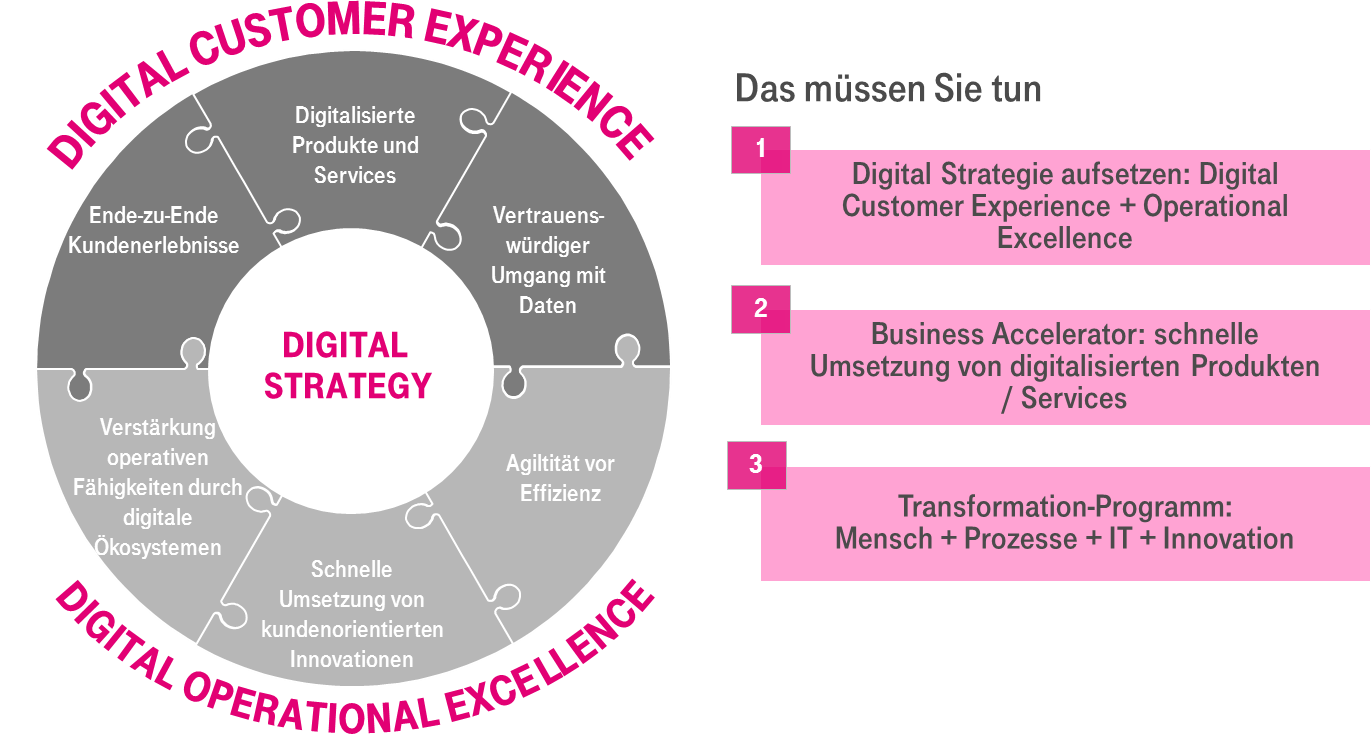 Circular Puzzle Diagram of Digital Strategy