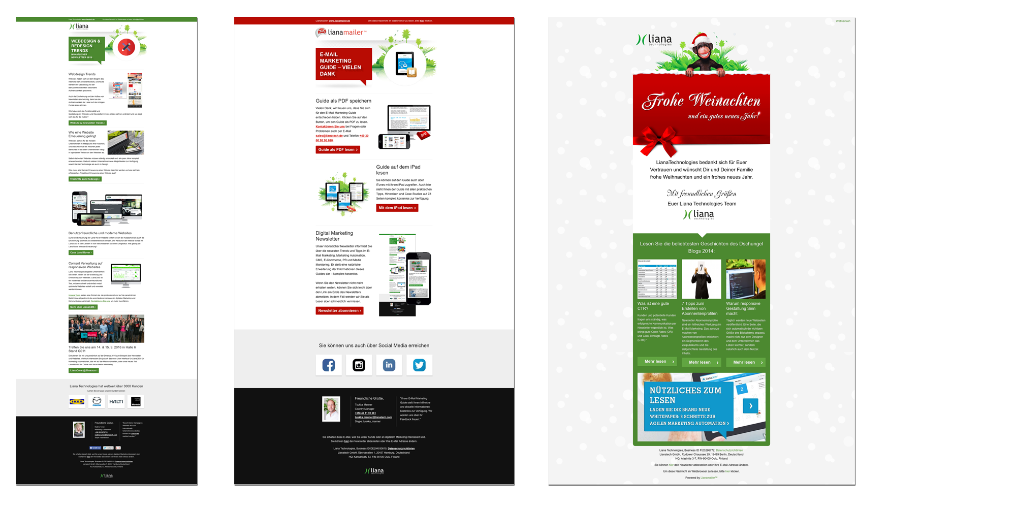 Email Newsletter Layouts in Green, Red, Festive