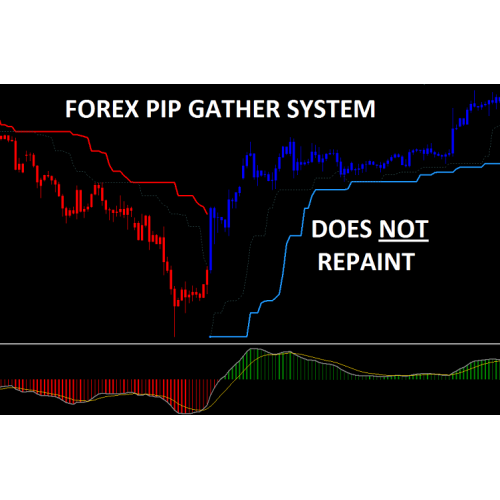 foreign exchange market percentage in point exchange rate trader trading strategy trade wings ltd forex exchange bureau