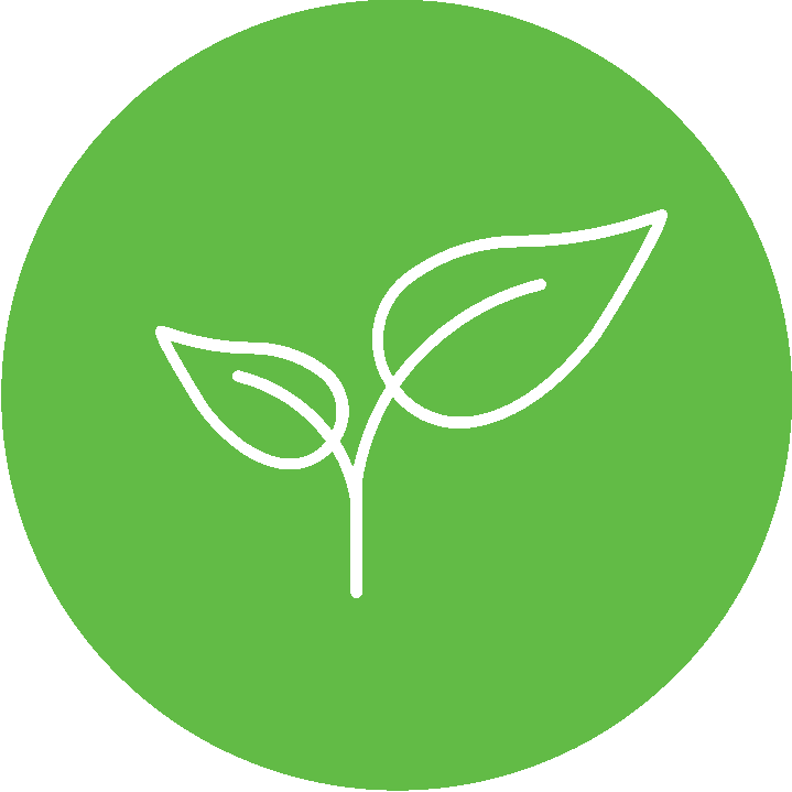 Green Leaf Logo Sustainability Natural Environment Animation Business Marketing Customer Quality transparent bac
