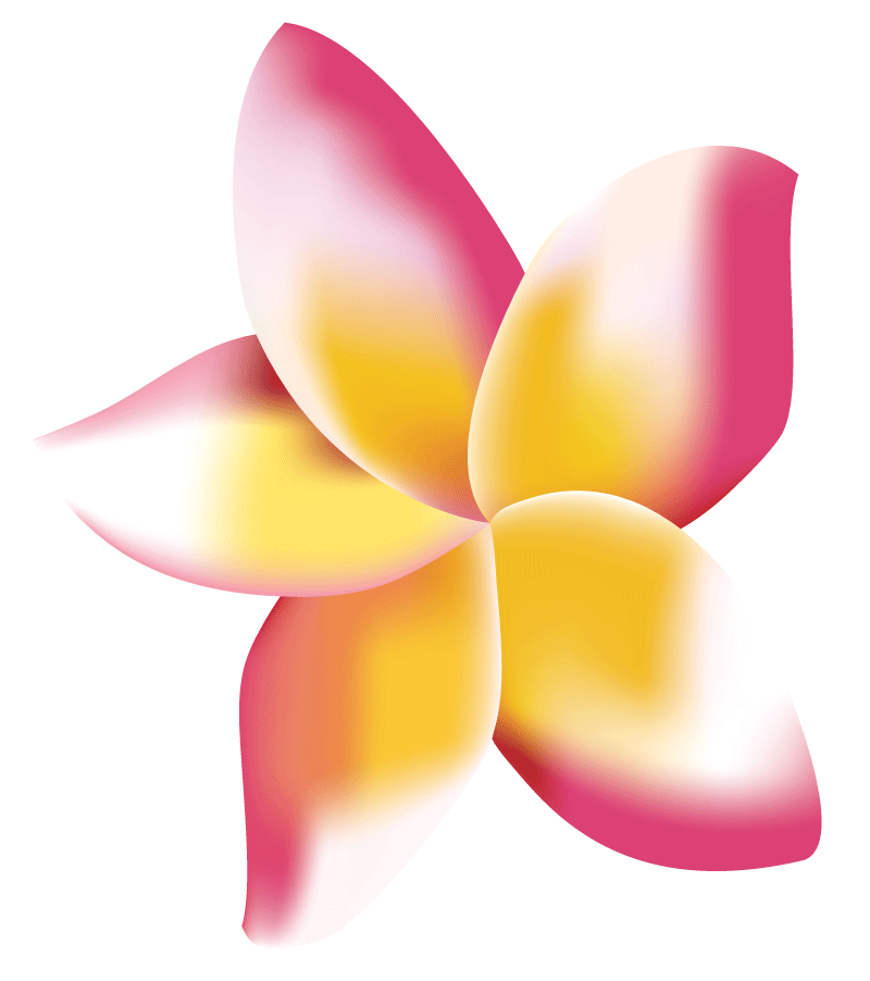 frangipani digital marketing flower petal frangipani