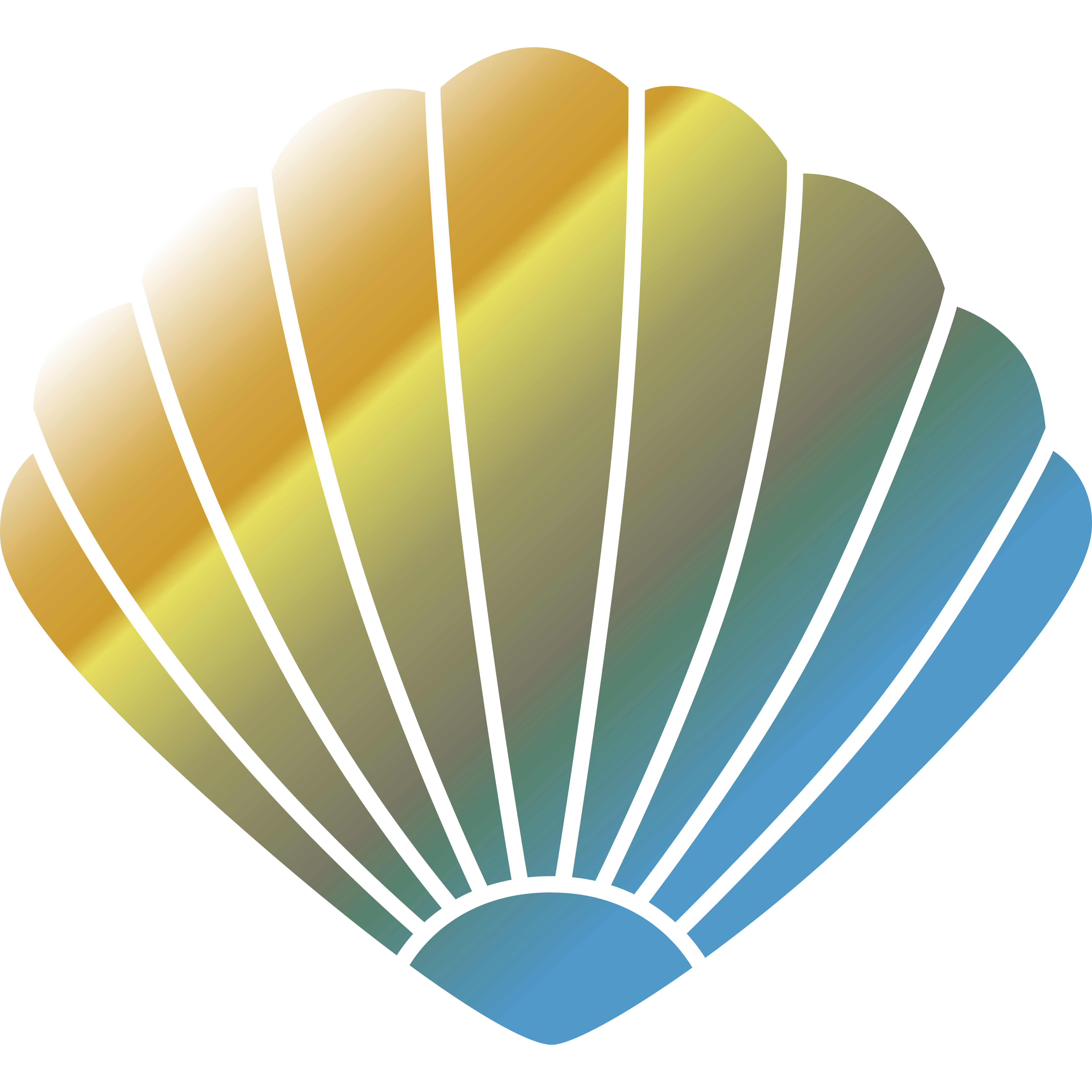 Hot Air Balloon Clam Seafood Bitcoin Shellfish Dogecoin Giant Clam Market Capitalization transparent bac