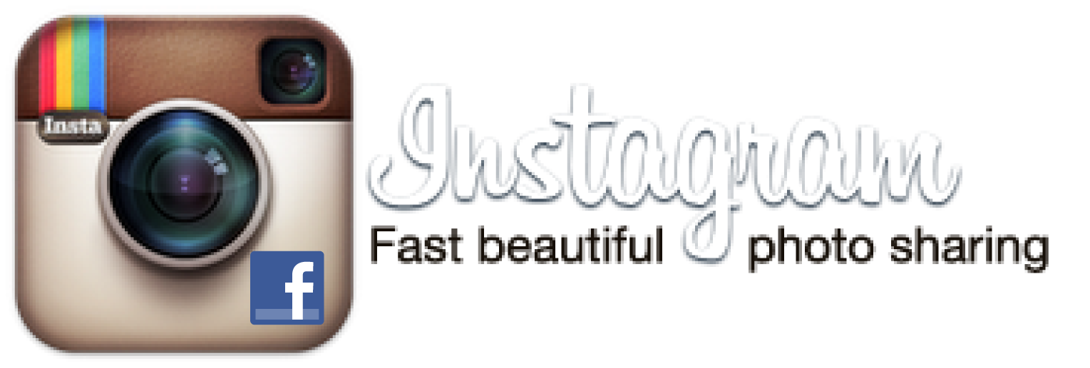Instagram Logo with Camera Icon and Wordmark
