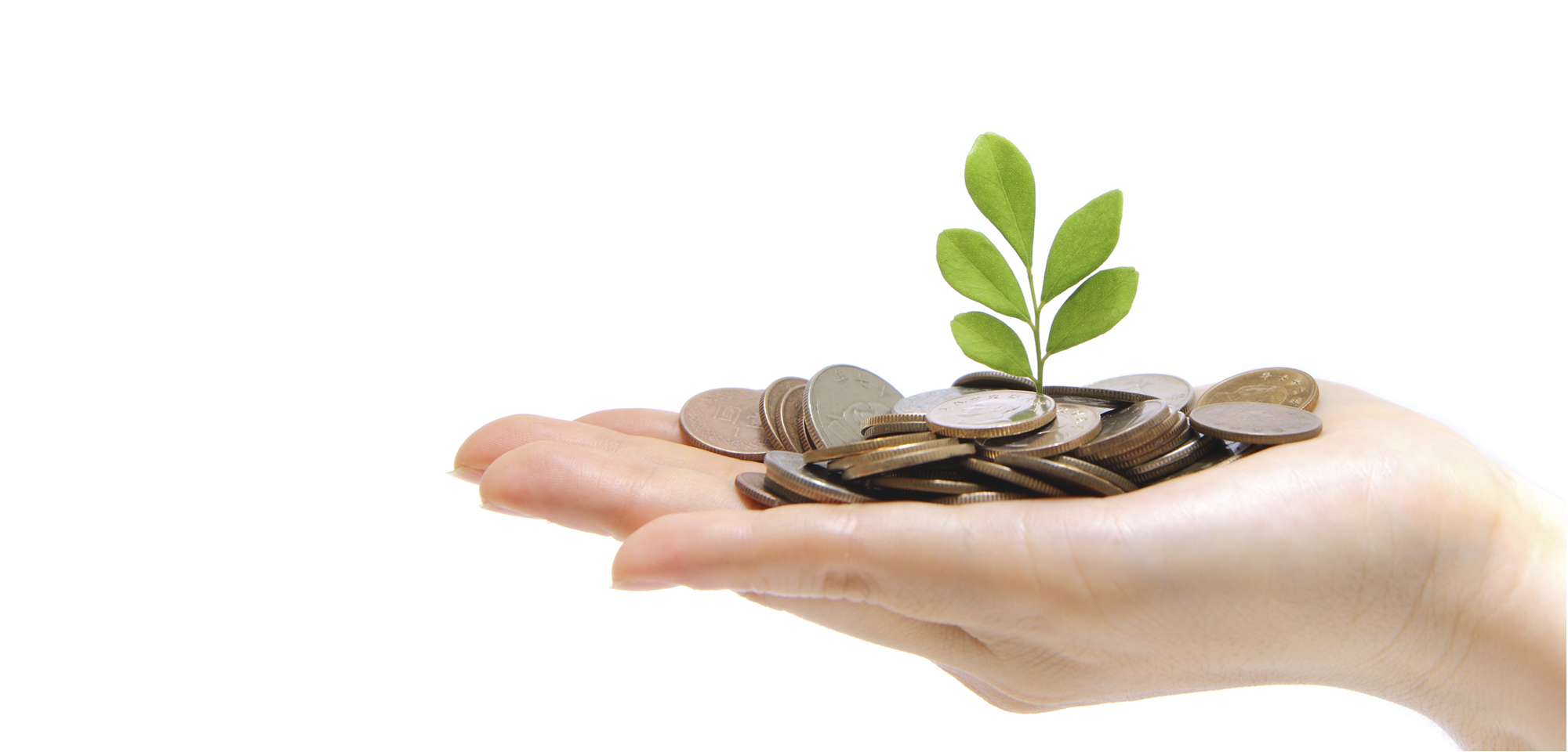 investment finance bank money primary market bank