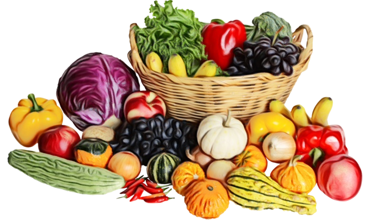 l3fehvbk83qblj4ivvfhd4hvvhPlant Leaf Vegetable Food Plants Biennial Plant Dietary Fiber Marketing Nutrient transparent bac